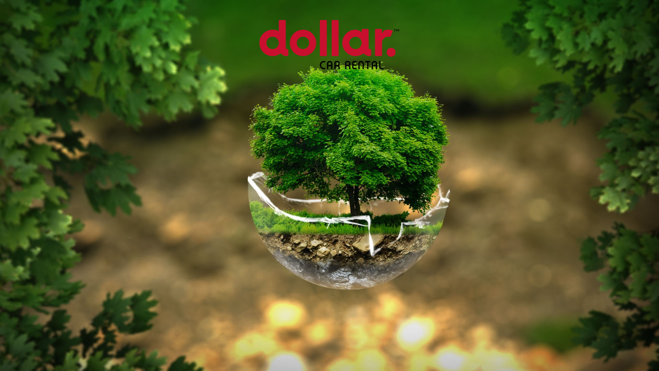 Smarter Rentals to Protect the Island: Dollar SBH’s Environmental Commitments